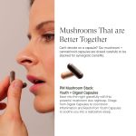 Chaga Capsules with CBD and CBN - Digest  - Image 6