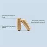 Lion's Mane Capsules with CBG - Mindful - Image 7