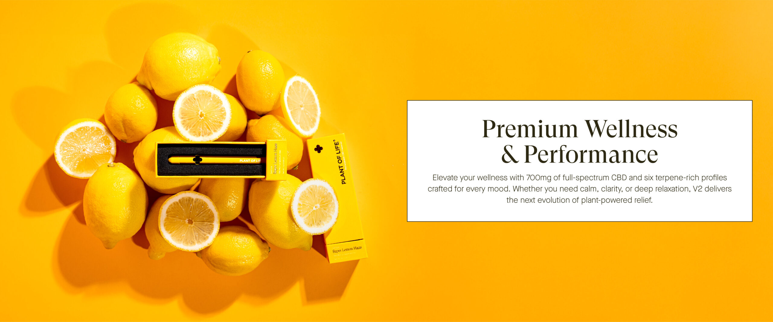 lemon final banner