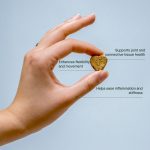 Mobility CBD Pet Treats - Image 3