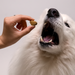 Allergy CBD Pet Treats - Image 6