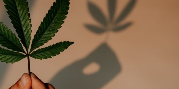 shelby-ireland-AEMWNJ1q8Jg-unsplash